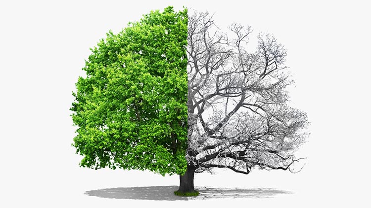چرا خدا کسی را که می‌داند نخواهد پذیرفت می‌آفریند؟